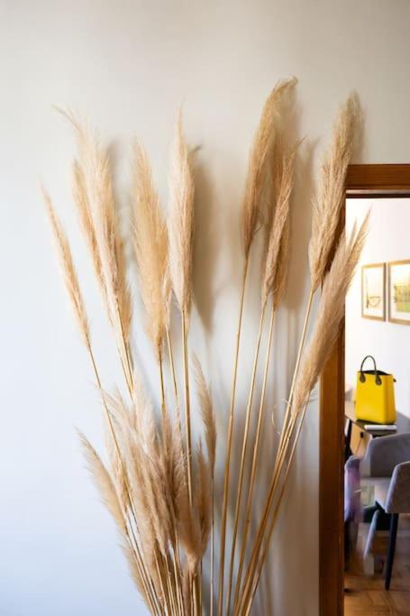Apartment Ariosto Charme Florence